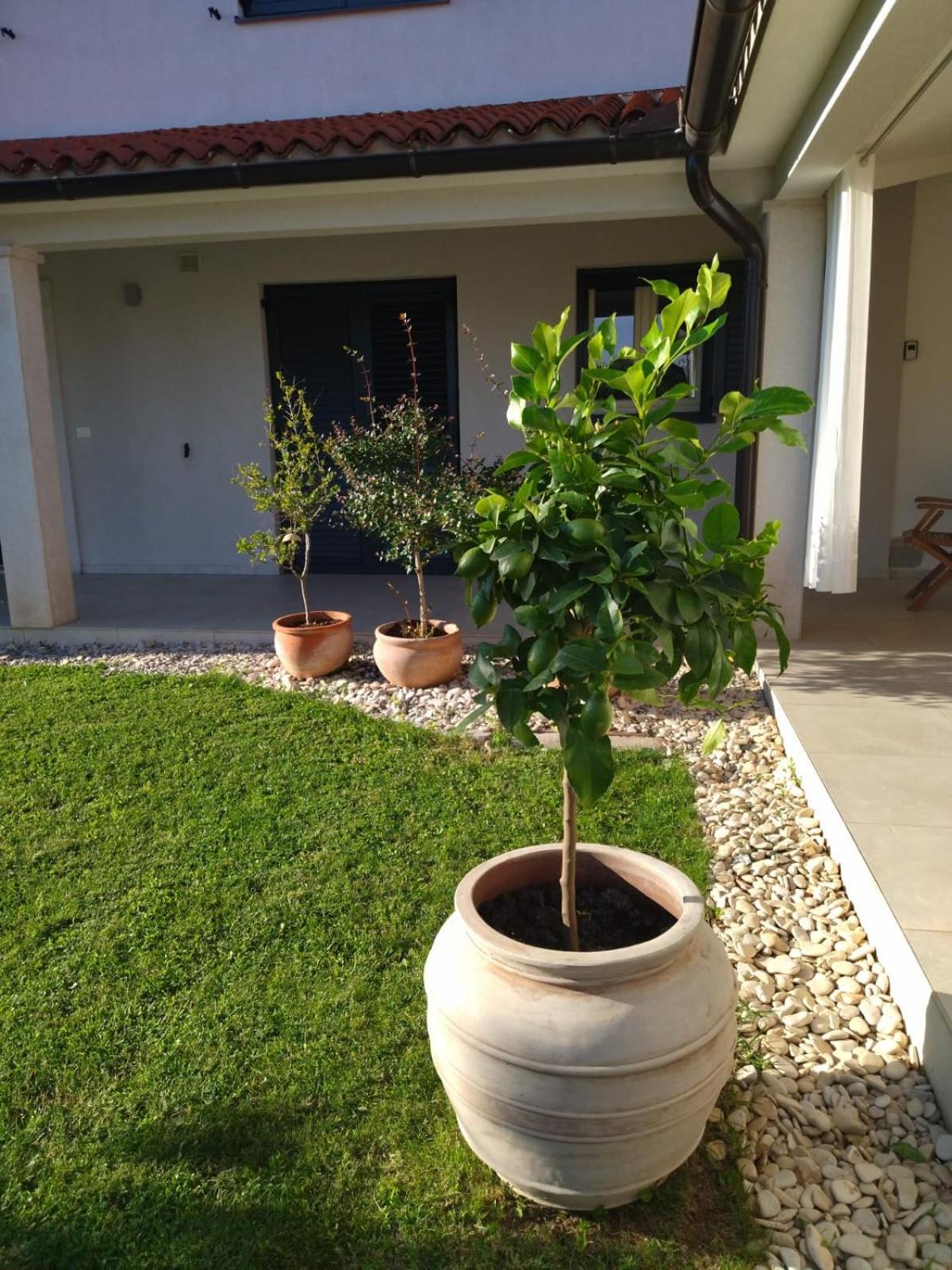 Villa Ivana Medulin Ngoại thất bức ảnh